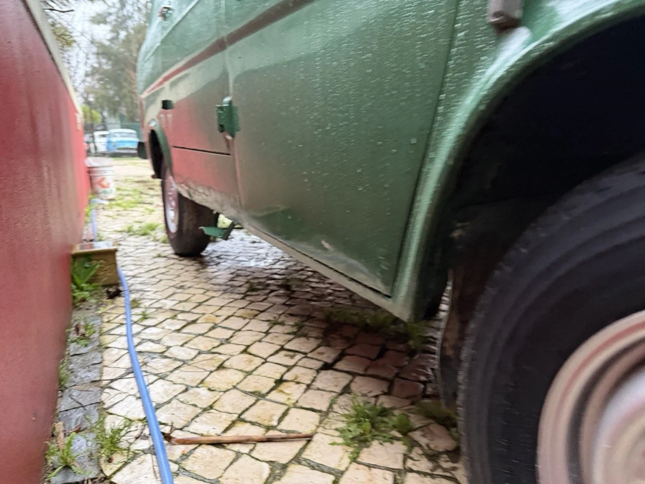 IMG_9961 – grande.jpeg