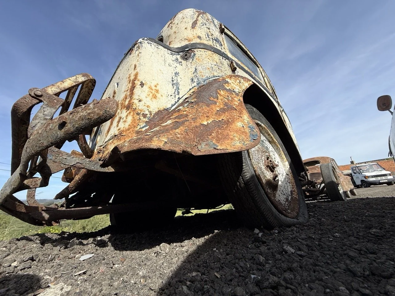 IMG_0385 – grande.jpeg