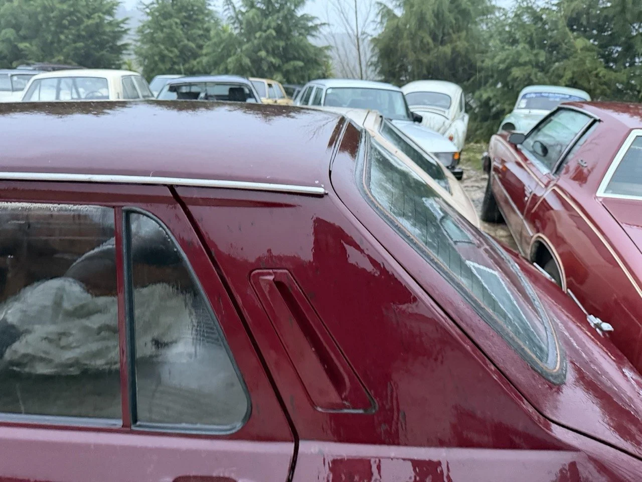 IMG_0283 – grande.jpeg