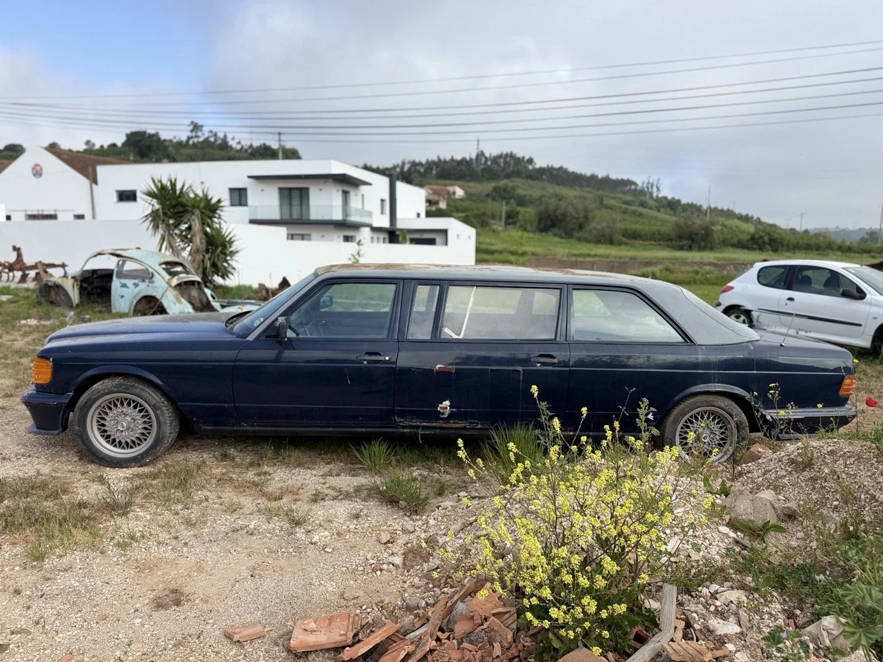 IMG_3357 – grande.jpeg