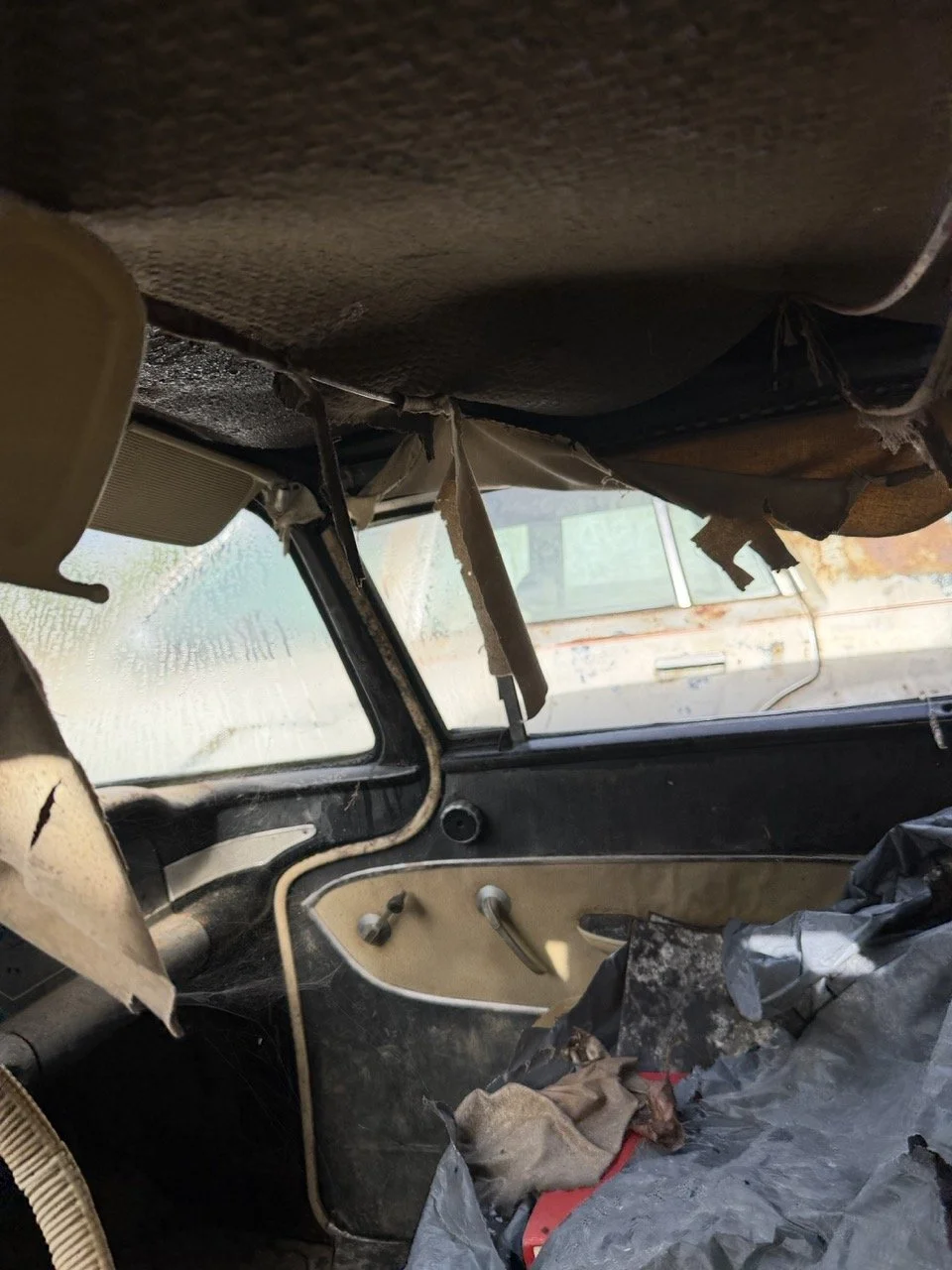 IMG_5089 – grande.jpeg