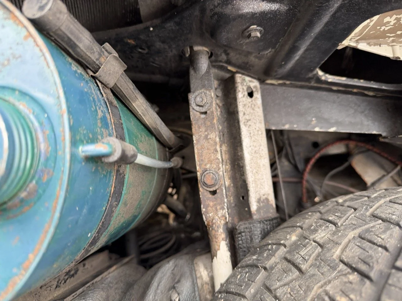 IMG_3748 – grande.jpeg