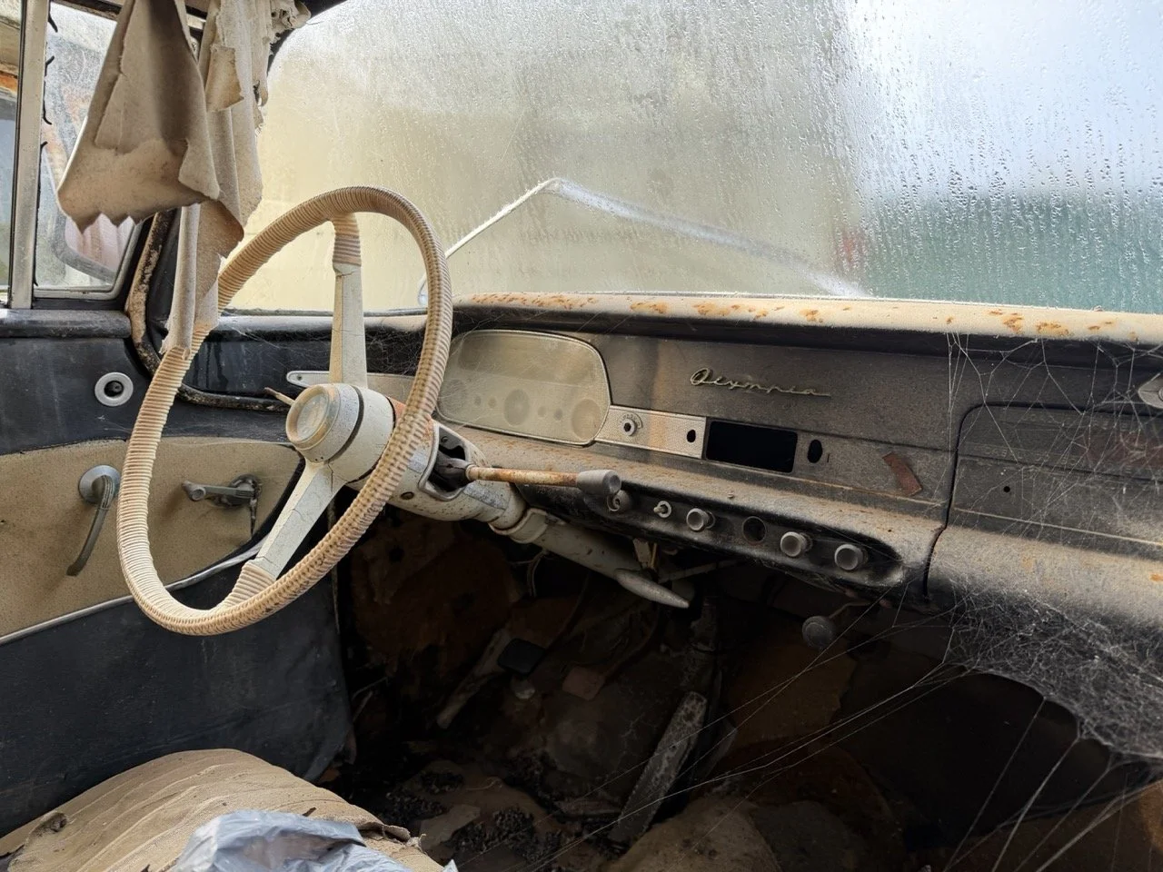 IMG_5058 – grande.jpeg