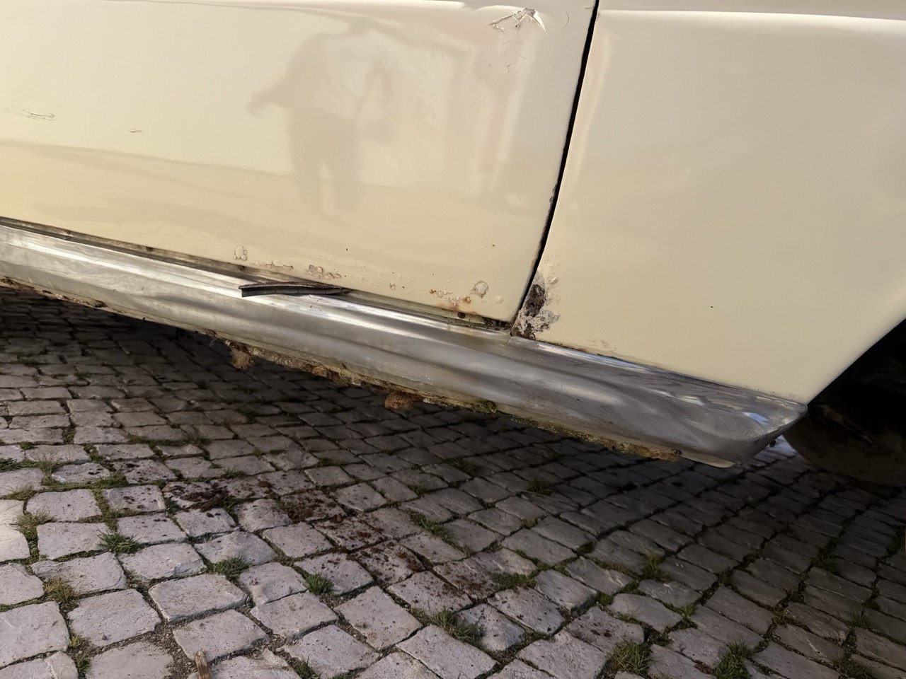 IMG_7060 – grande.jpeg