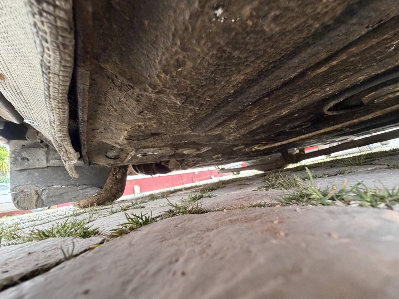 IMG_3785 – grande.jpeg