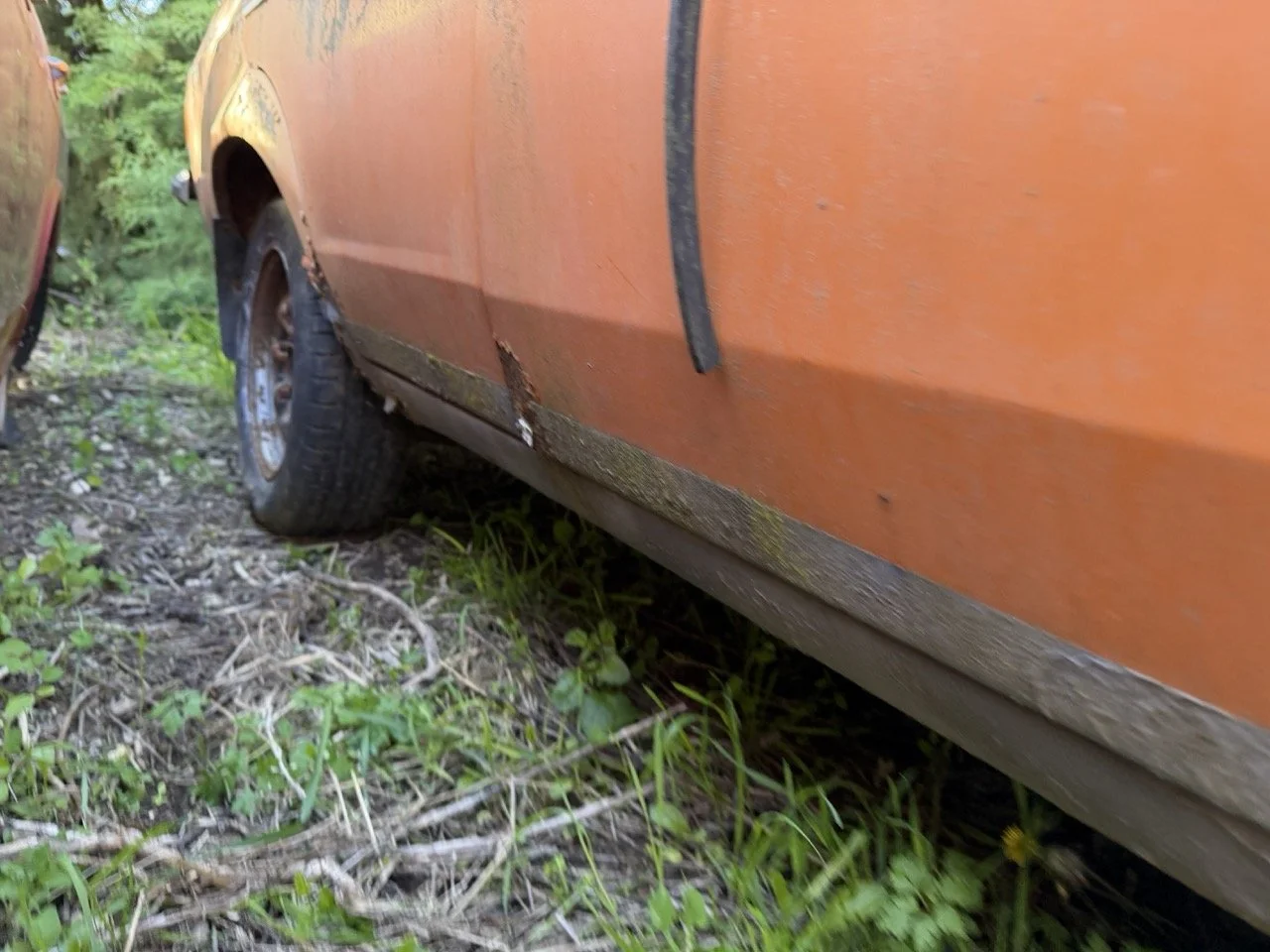 IMG_7714 – grande.jpeg