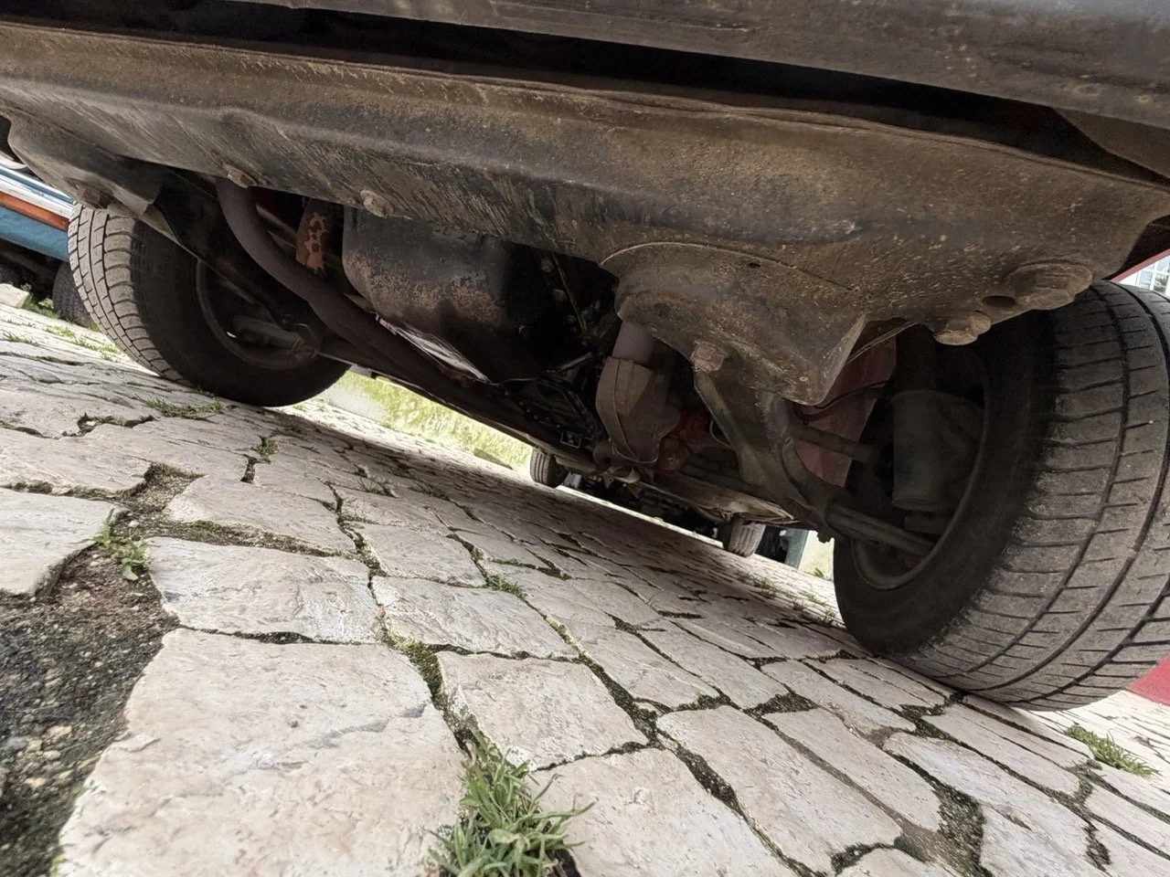 IMG_3532 – grande.jpeg