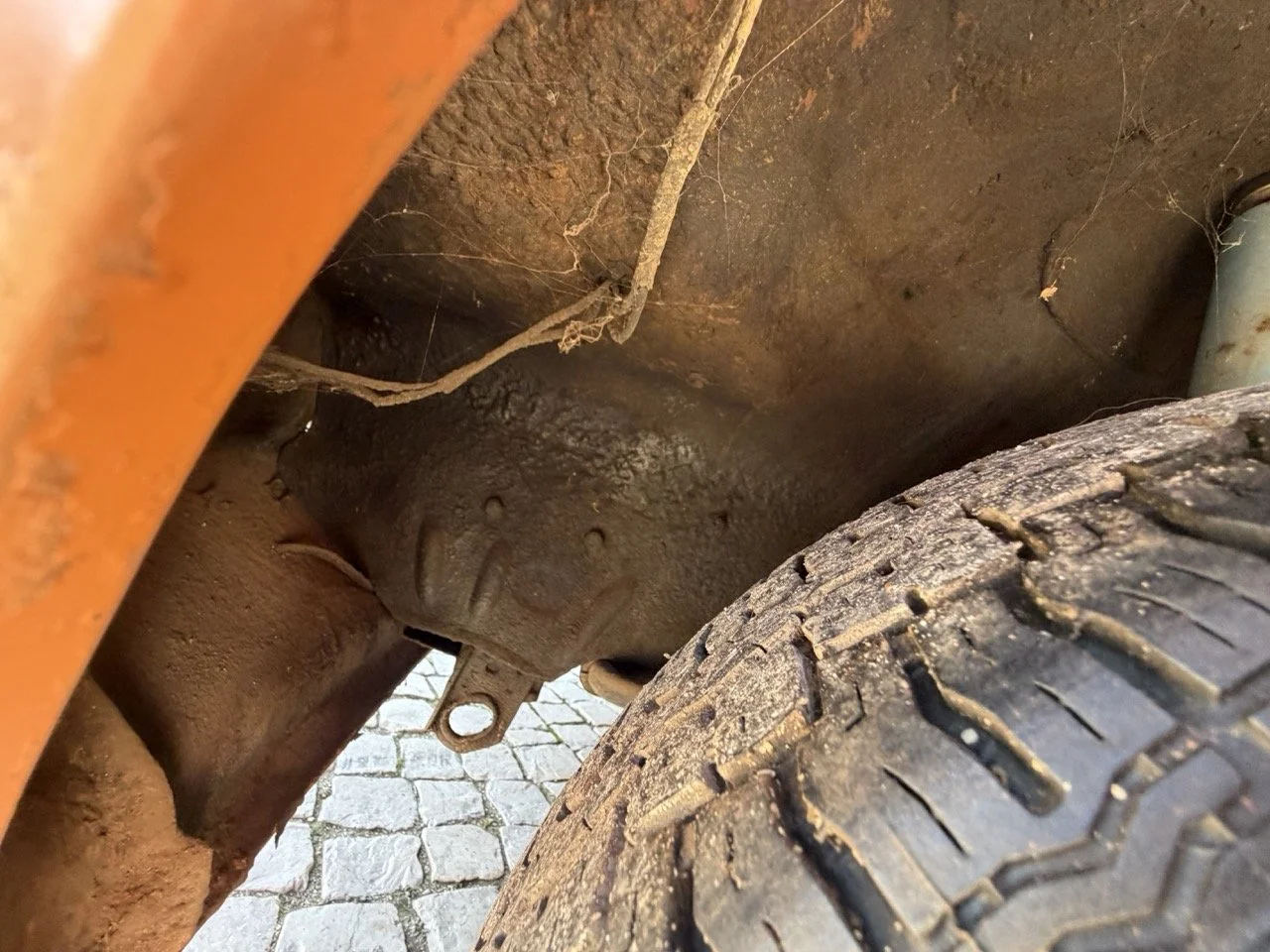 IMG_2465 – grande.jpeg