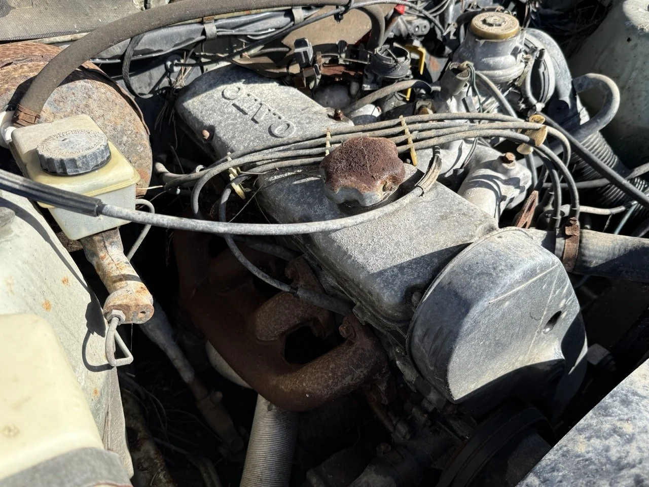 IMG_1167 – grande.jpeg