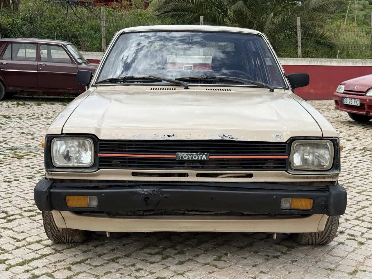 IMG_8670 – grande.jpeg