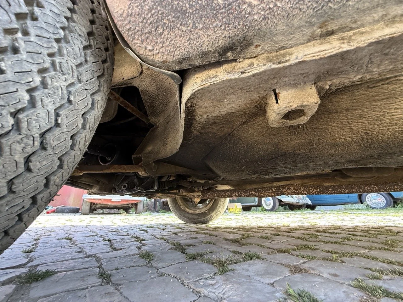 IMG_2357 – grande.jpeg