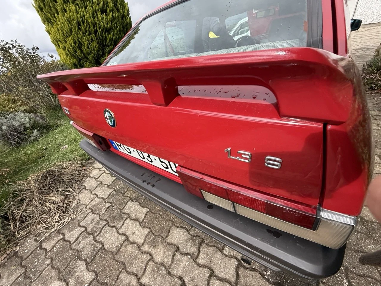 IMG_3271 – grande.jpeg