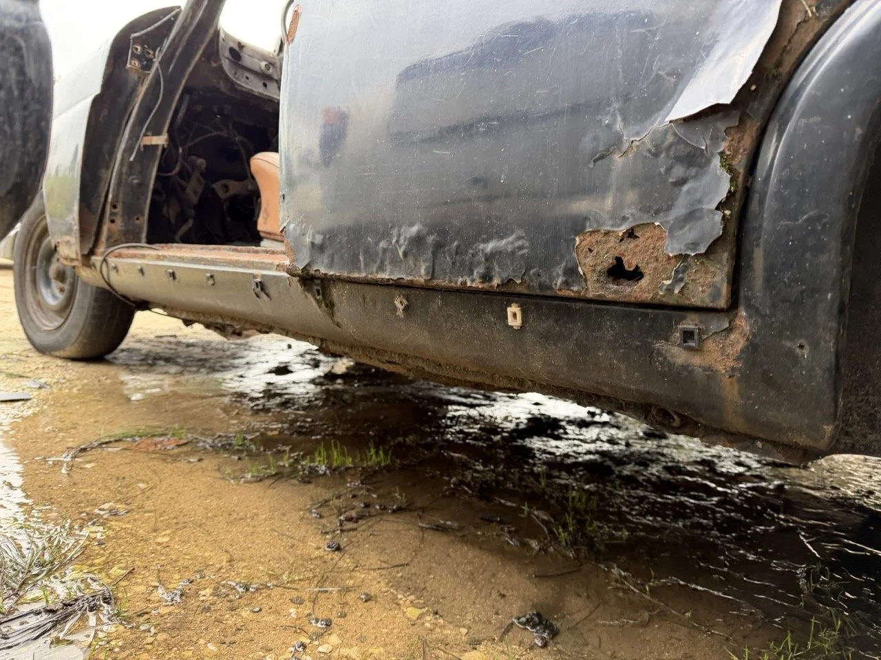 IMG_1933 – grande.jpeg