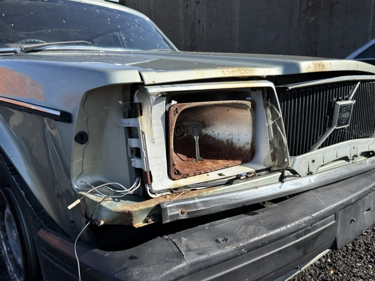 IMG_1251 – grande.jpeg