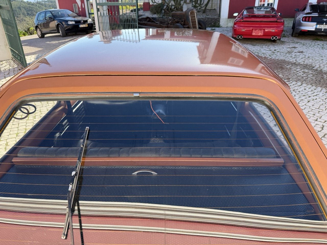 IMG_2434 – grande.jpeg