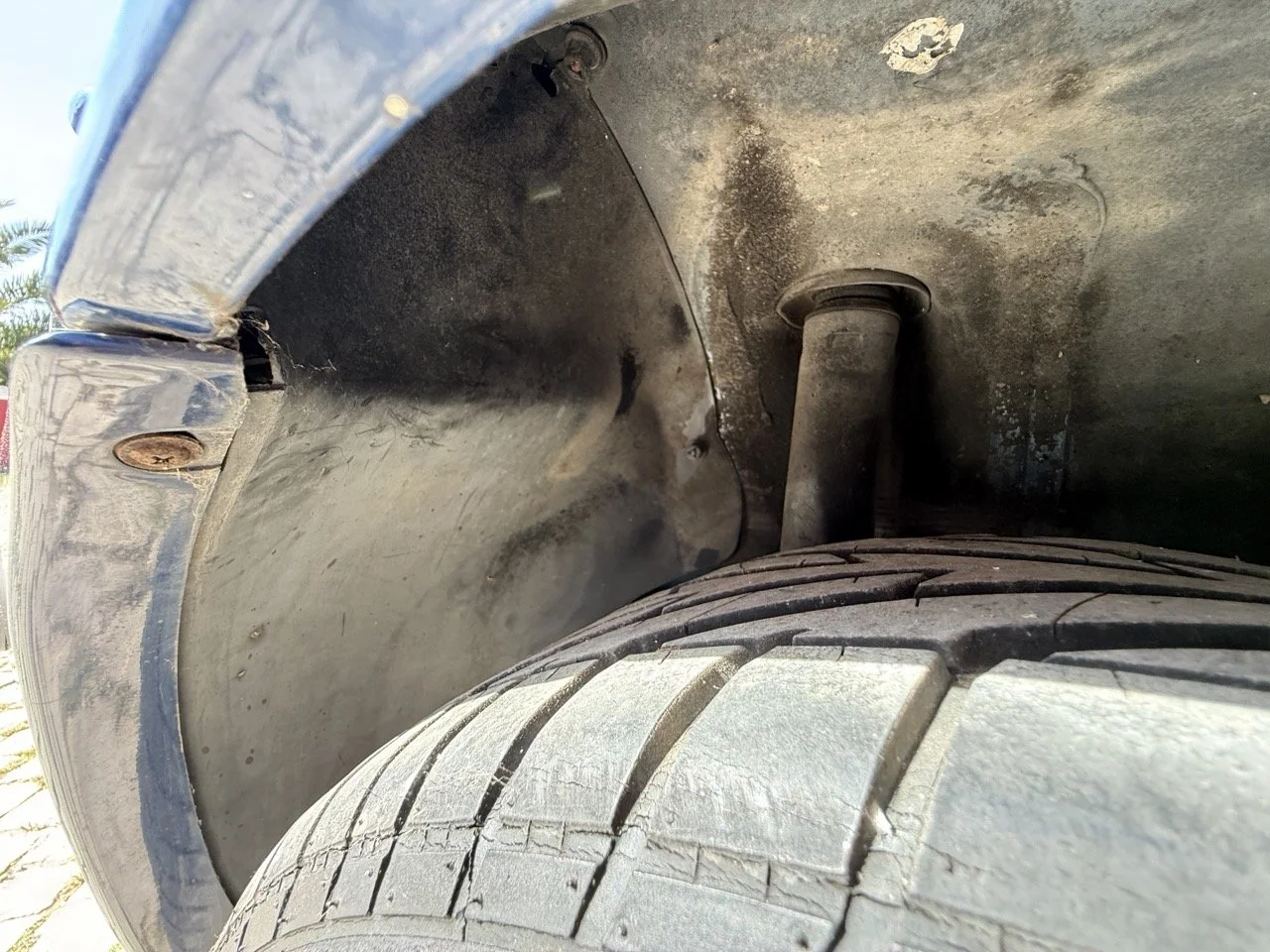 IMG_2508 – grande.jpeg