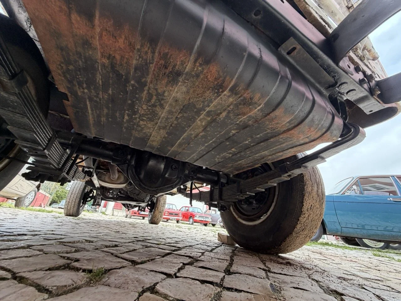 IMG_3927 – grande.jpeg