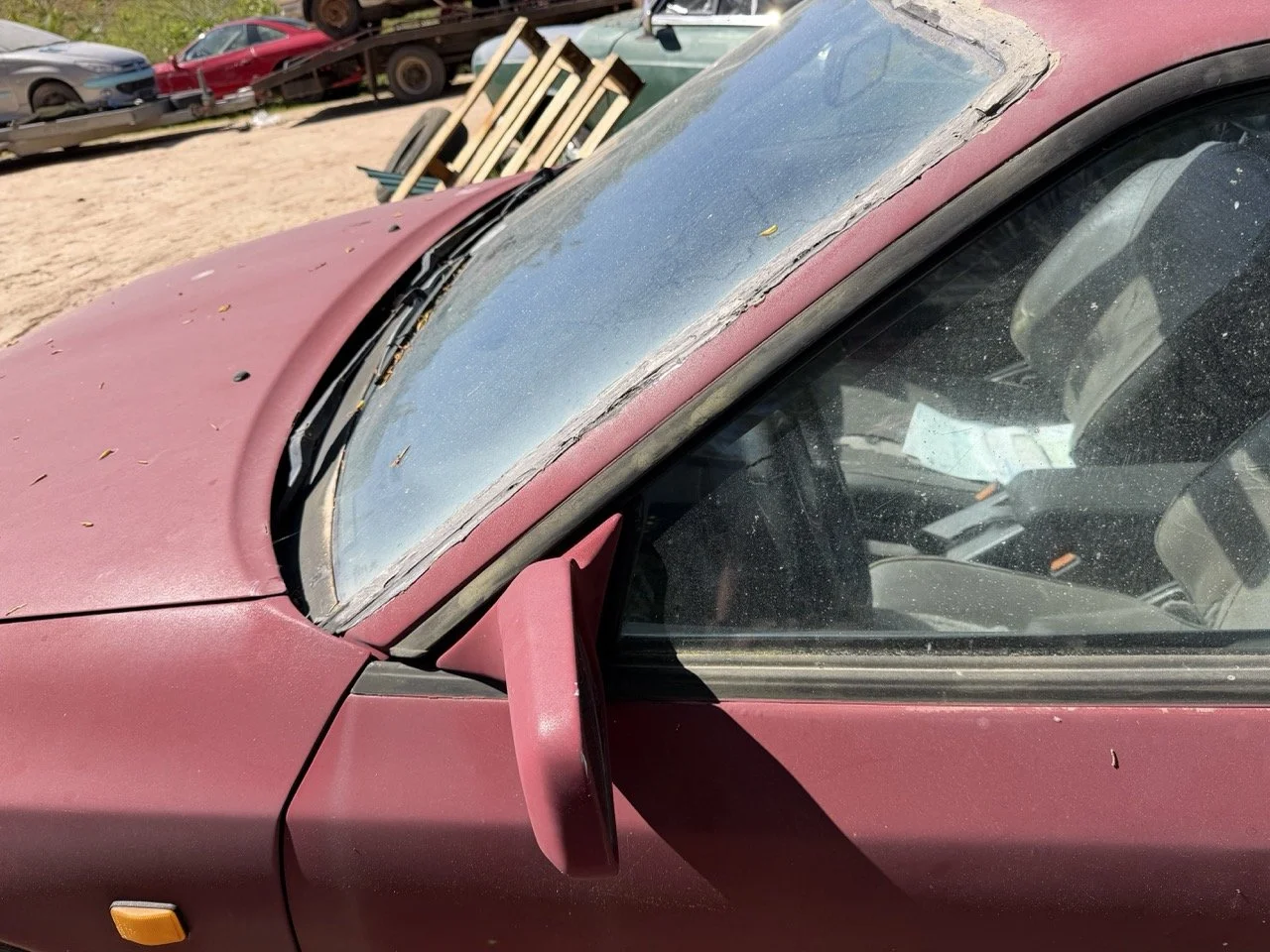 IMG_7637 – grande.jpeg