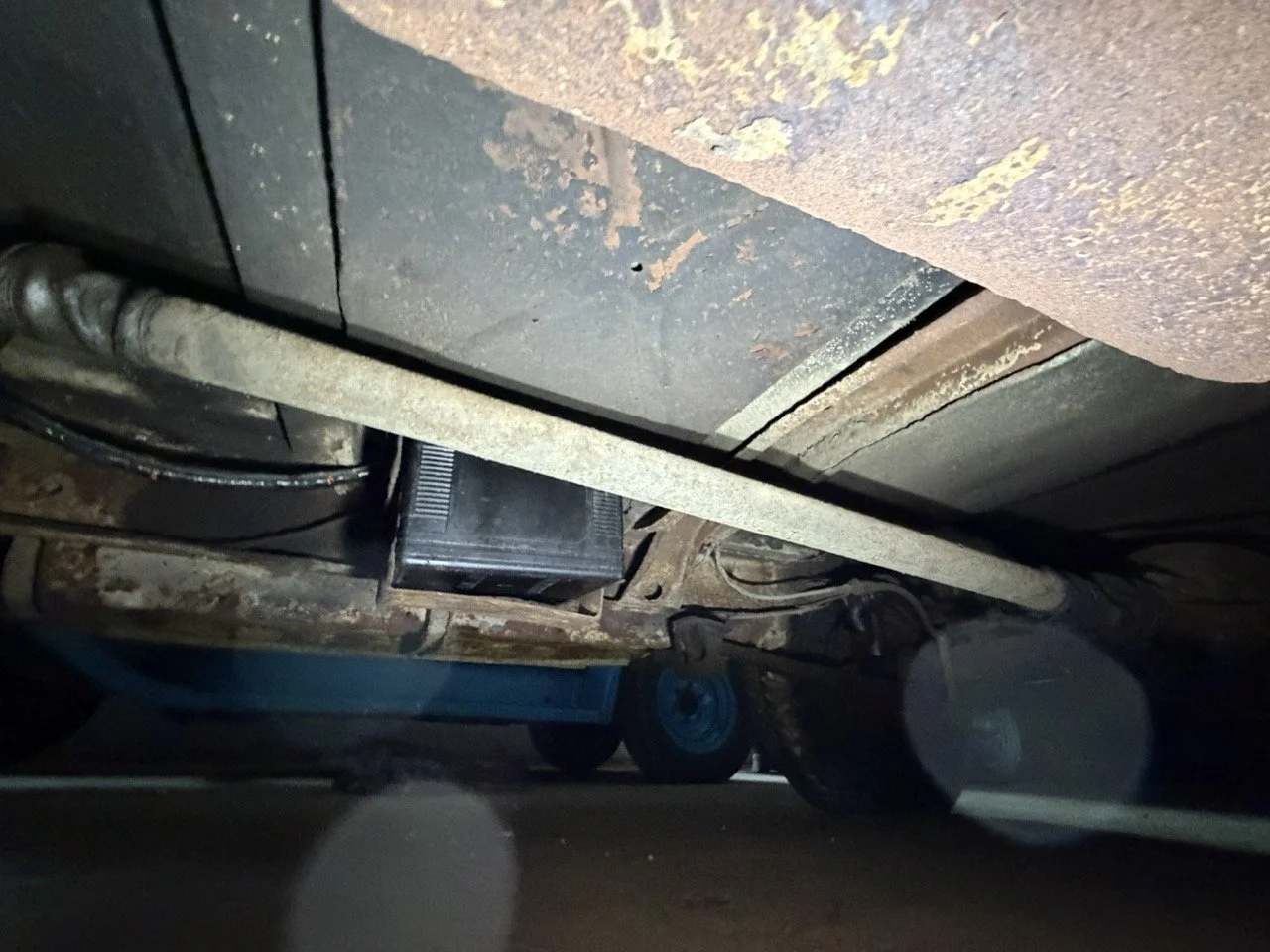 IMG_2497 – grande.jpeg