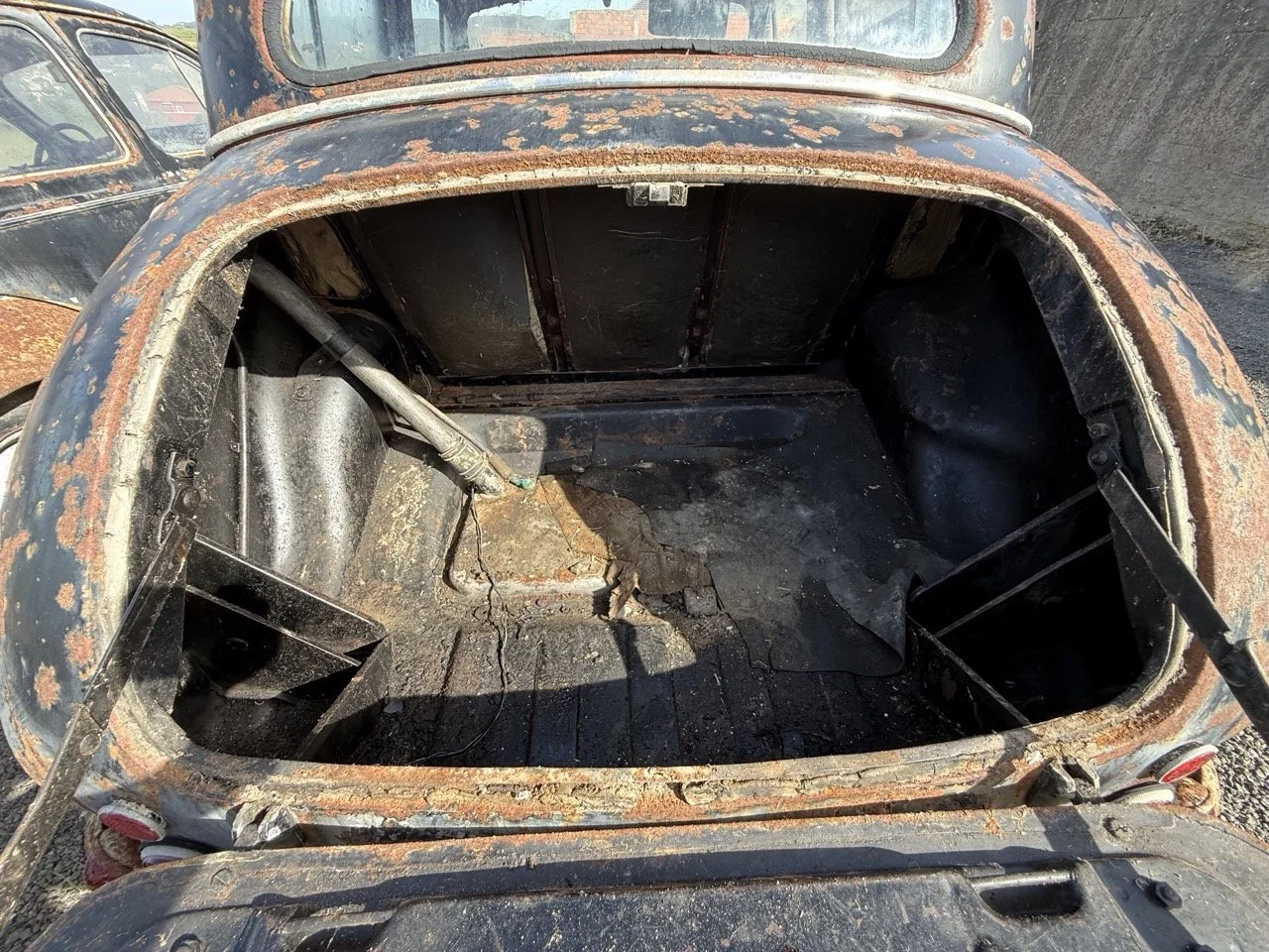 IMG_0470 – grande.jpeg