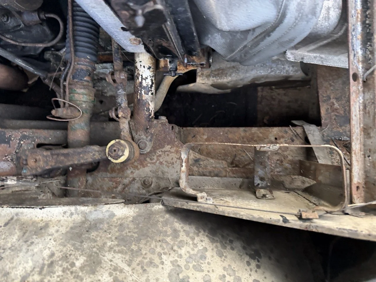 IMG_5971 2 – grande.jpeg