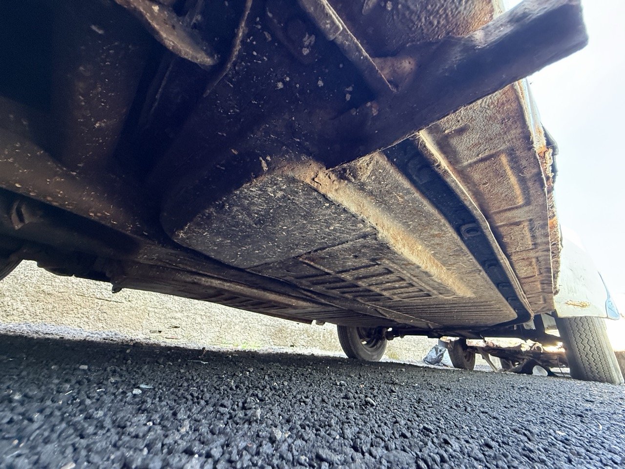 IMG_0728 – grande.jpeg