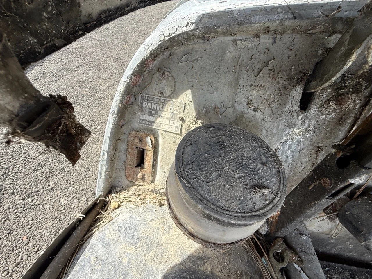 IMG_0340 – grande.jpeg