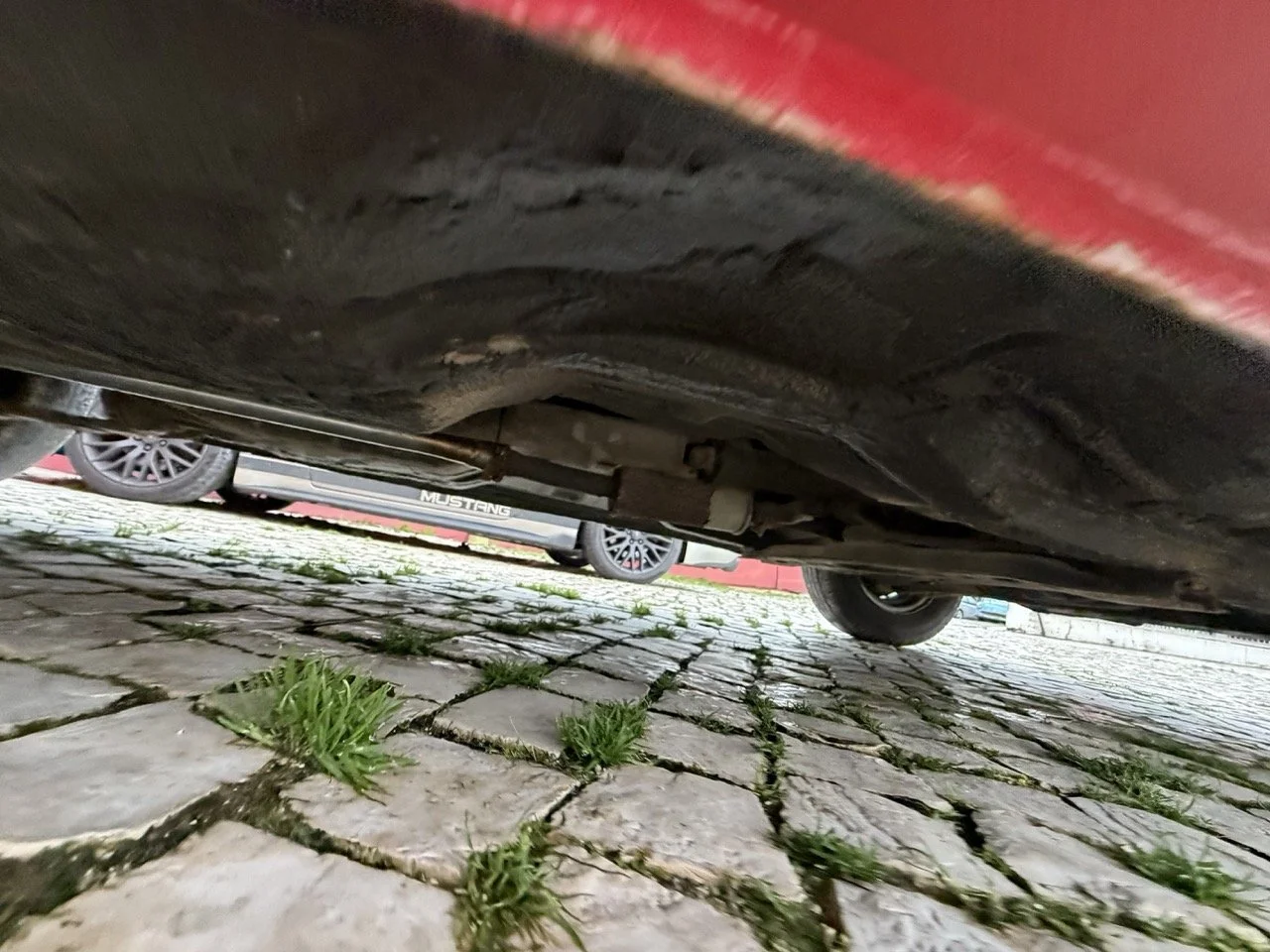 IMG_8297 – grande.jpeg