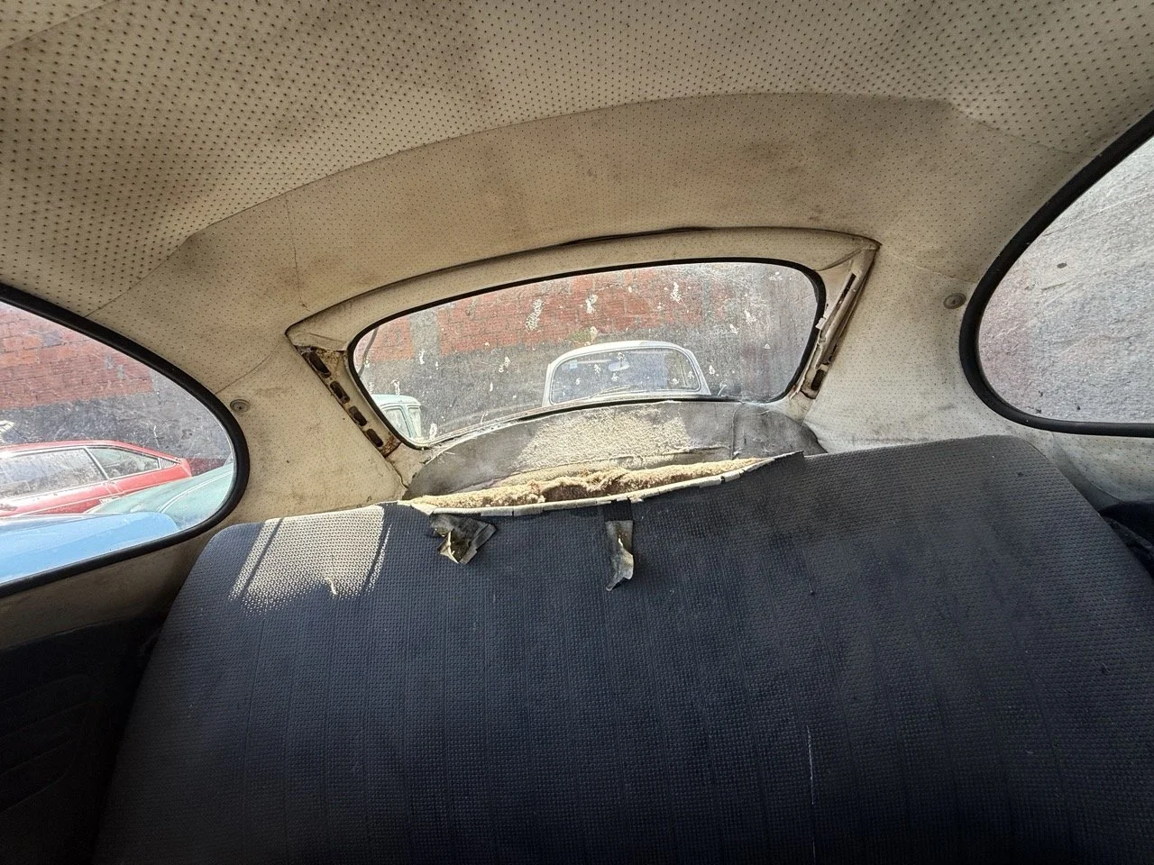 IMG_0663 – grande.jpeg