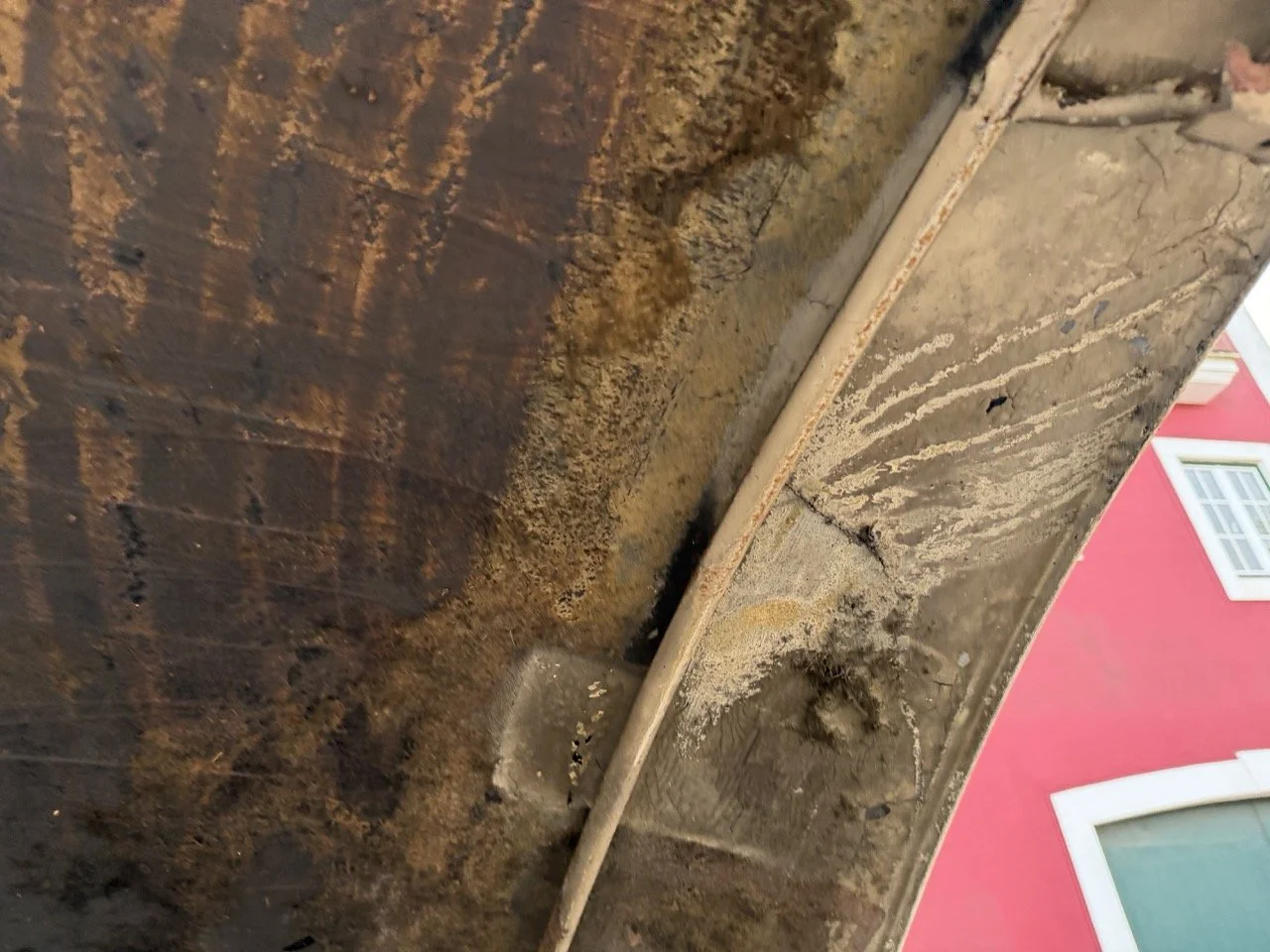 IMG_5980 2 – grande.jpeg