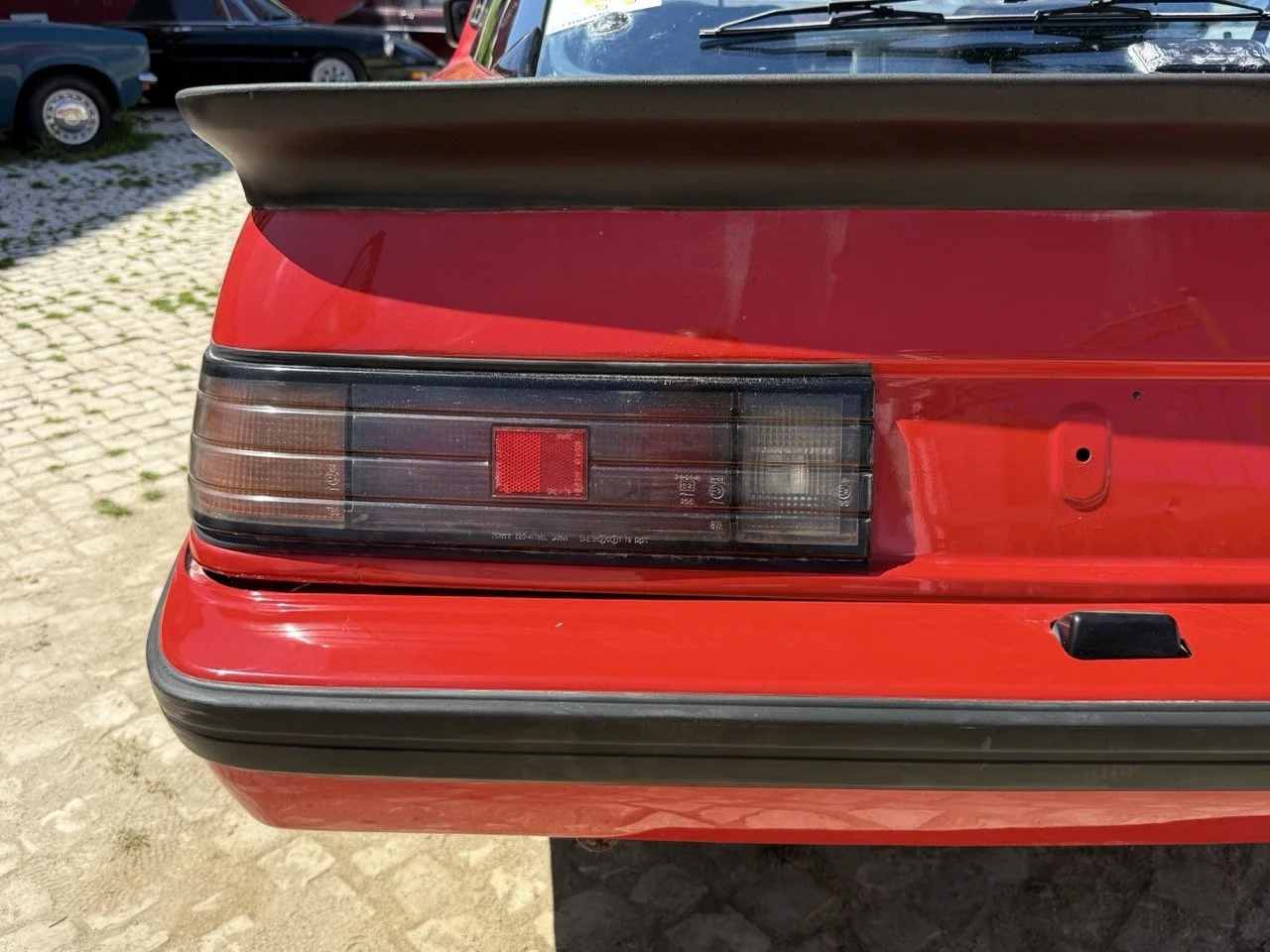 IMG_2089 – grande.jpeg