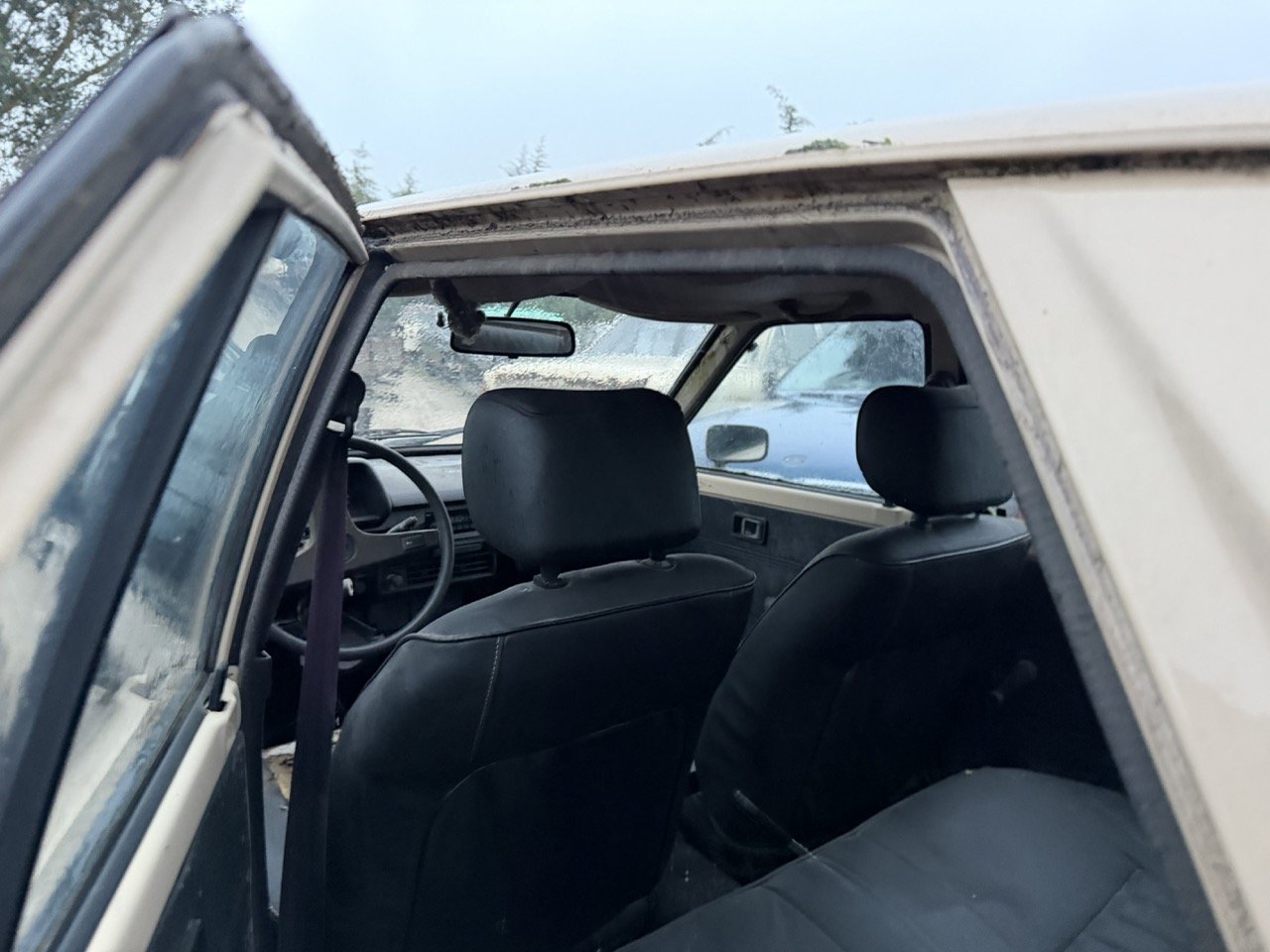 IMG_0230 – grande.jpeg