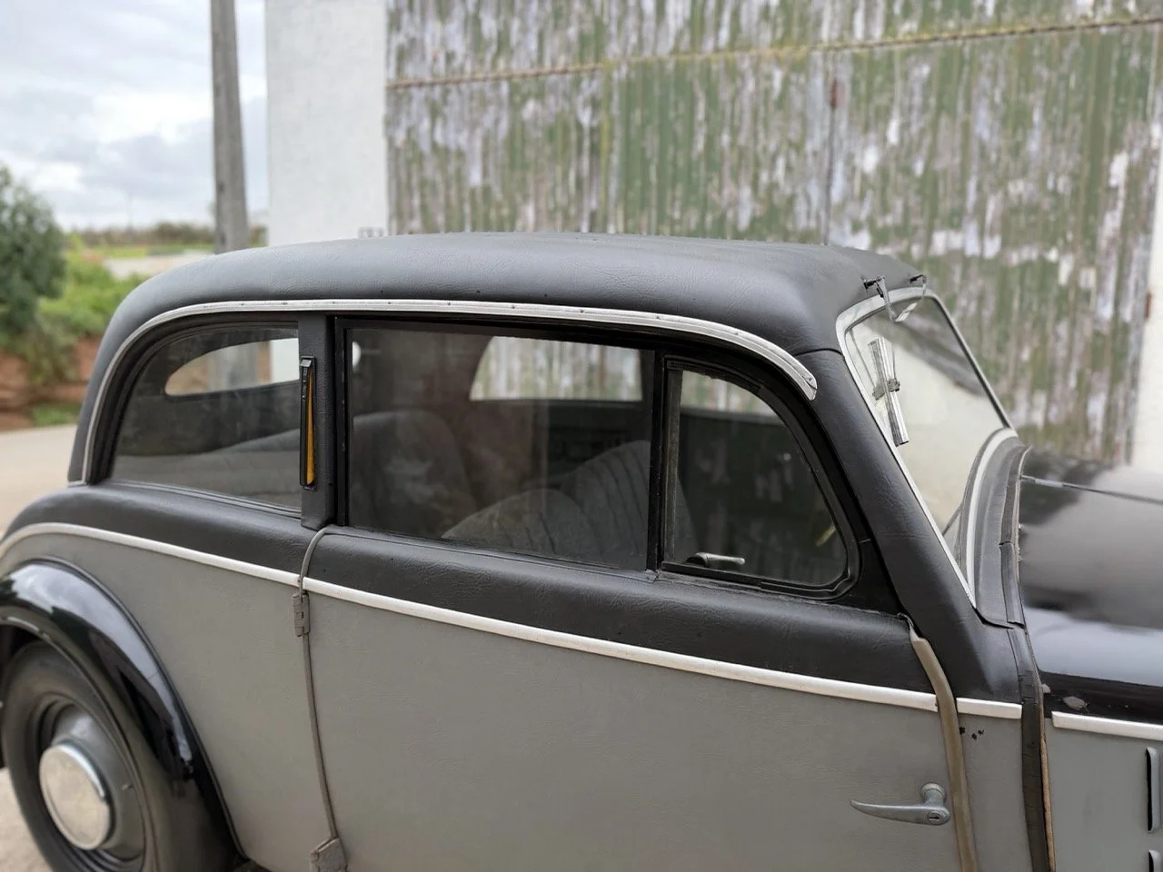 IMG_1473 – grande.jpeg