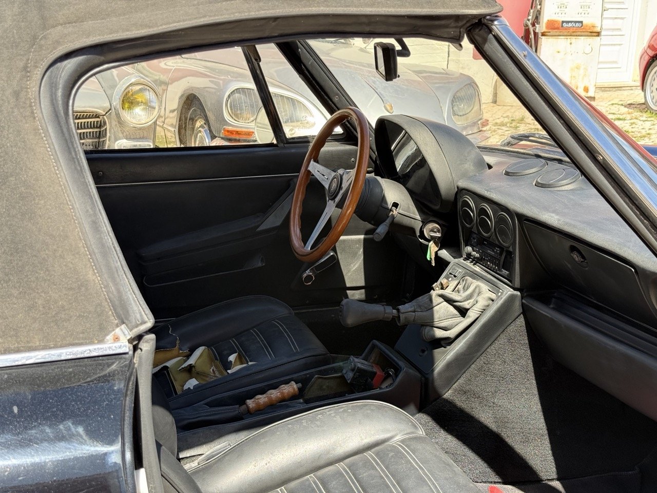 IMG_2141 – grande.jpeg