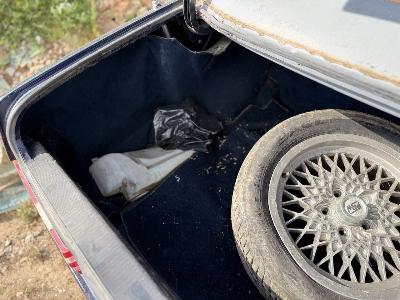 IMG_3392 – grande.jpeg