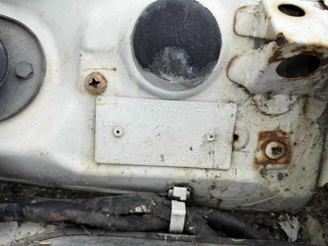 IMG_8548 – grande.jpeg