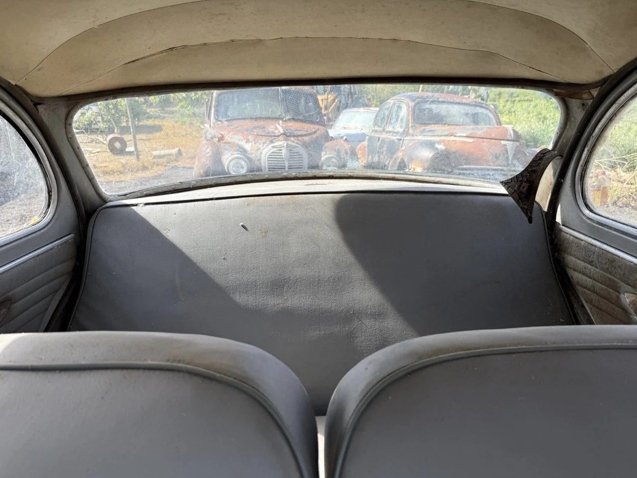 IMG_0326 – grande.jpeg