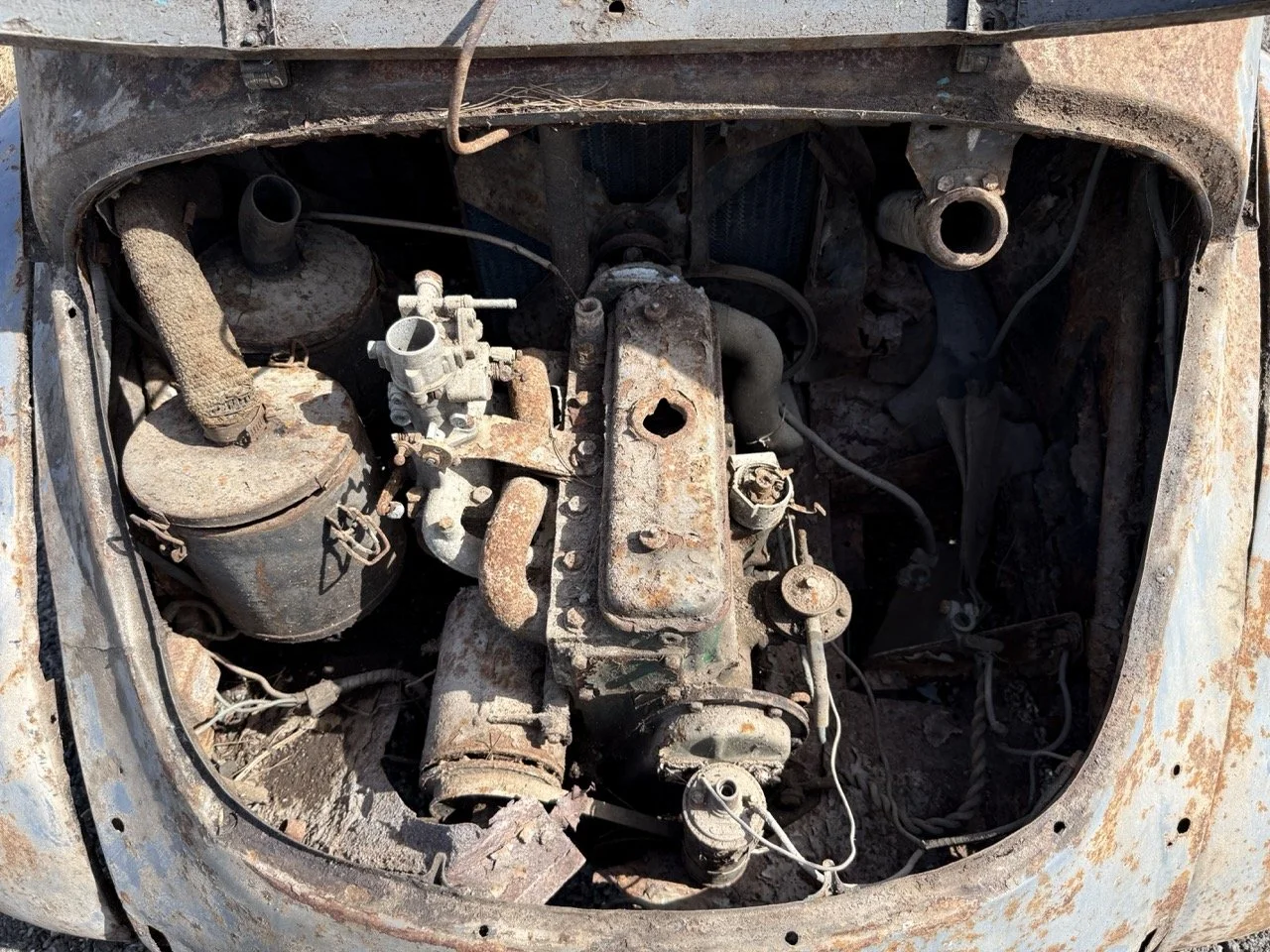 IMG_0278 – grande.jpeg