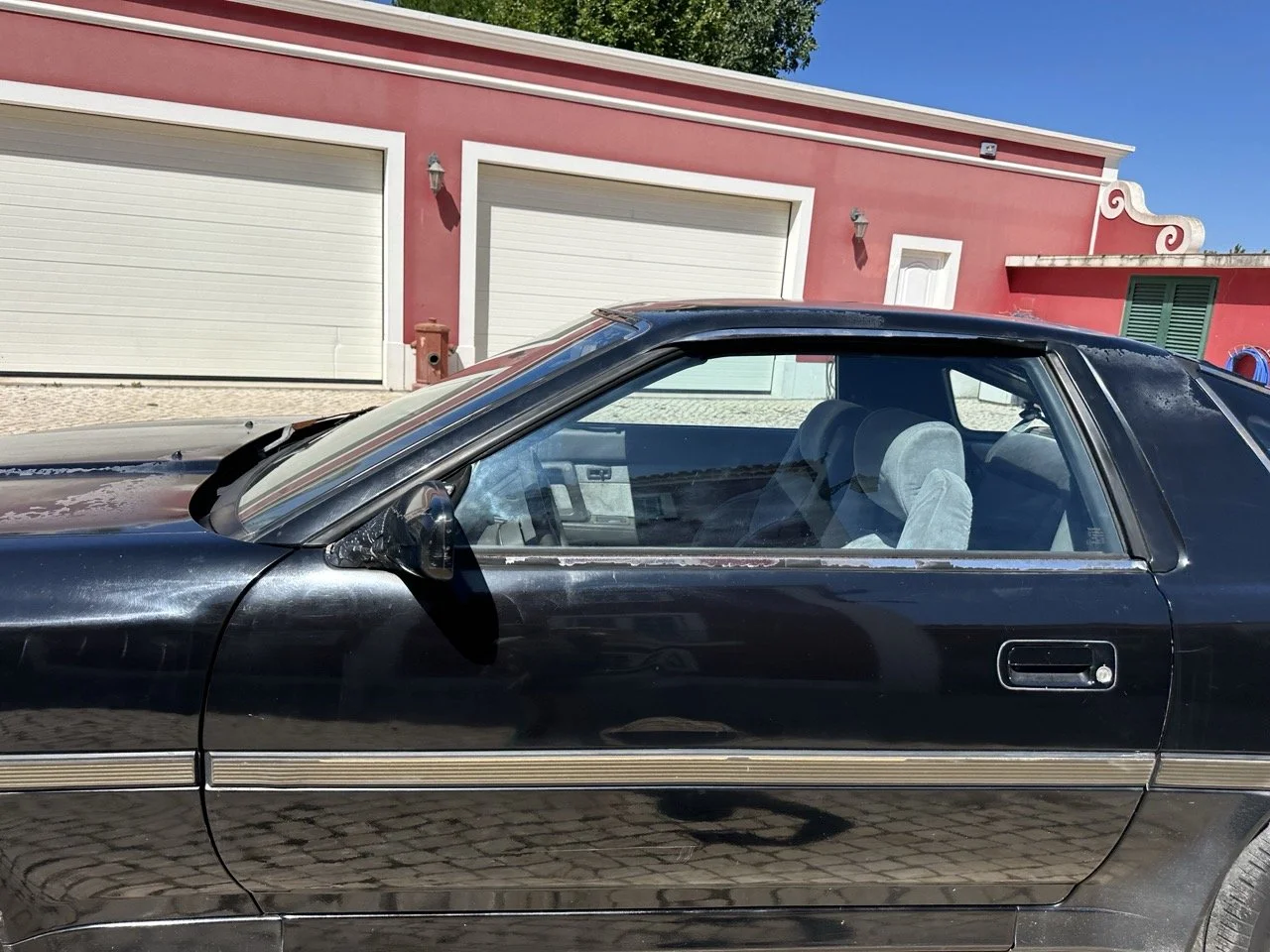 IMG_3172 – grande.jpeg