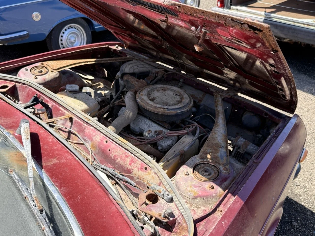 IMG_0920 – grande.jpeg