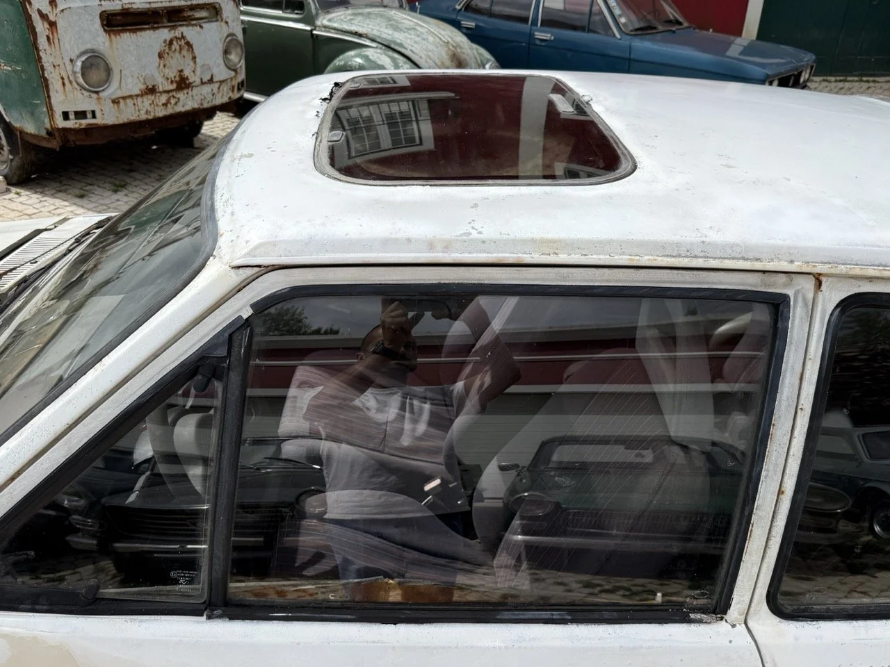 IMG_8619 – grande.jpeg