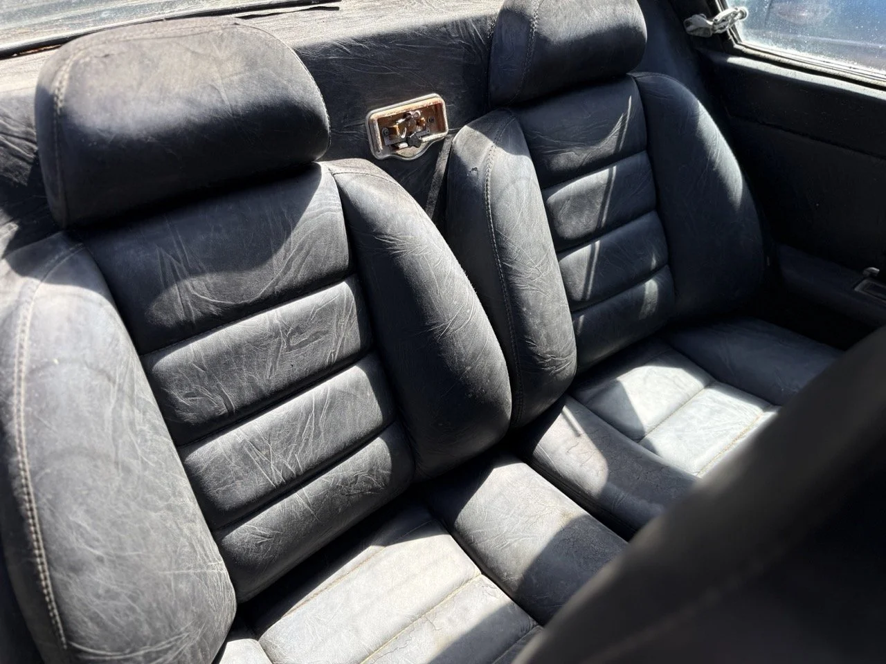 IMG_0916 – grande.jpeg