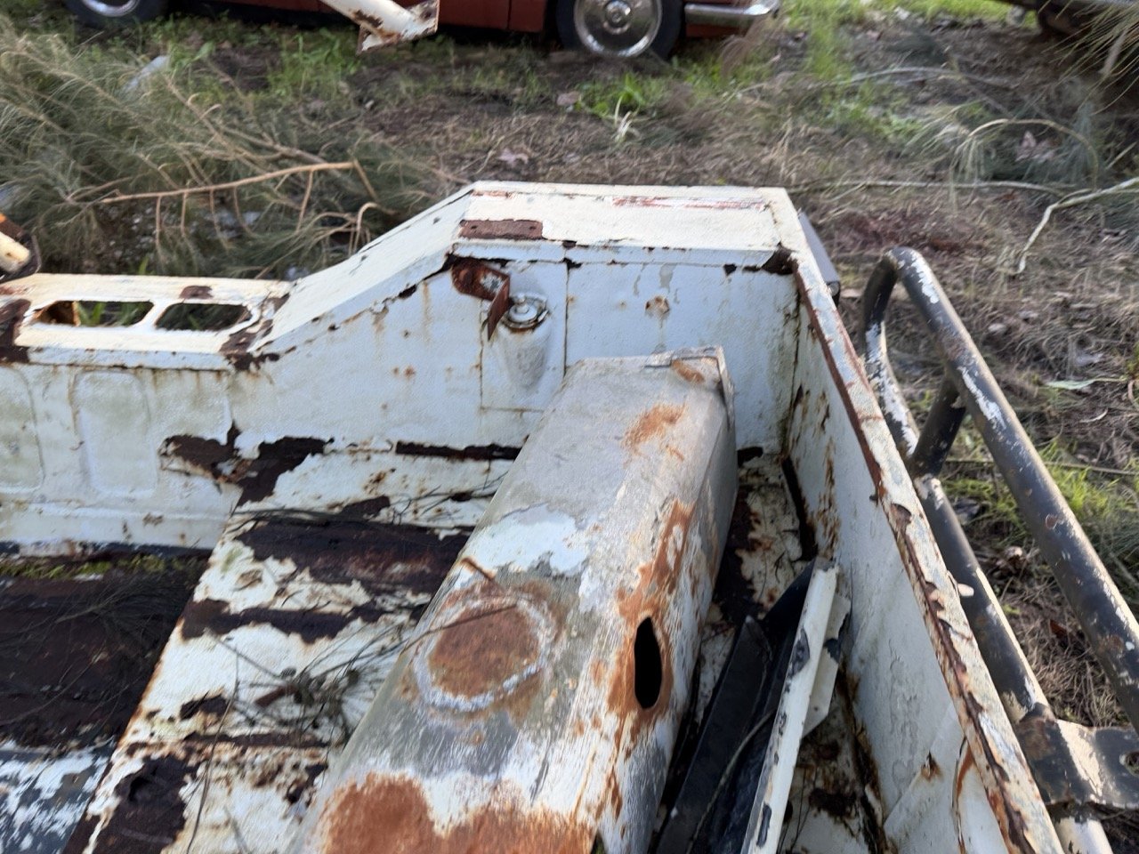 IMG_0894 – grande.jpeg