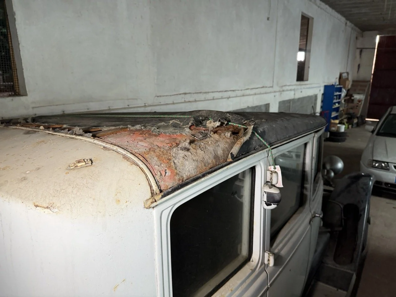 IMG_2466 – grande.jpeg