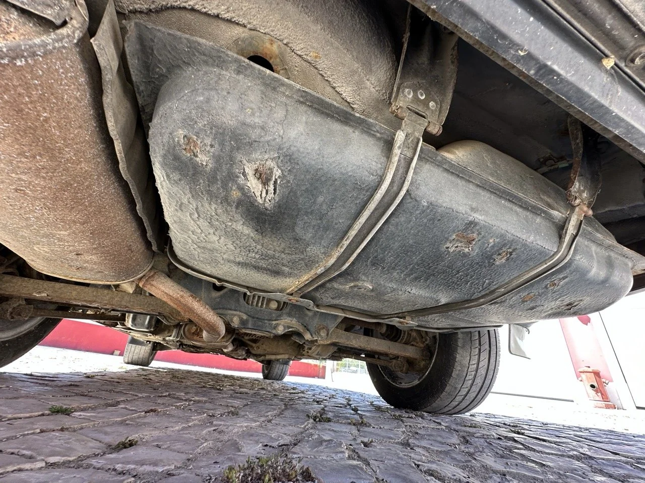 IMG_3132 – grande.jpeg