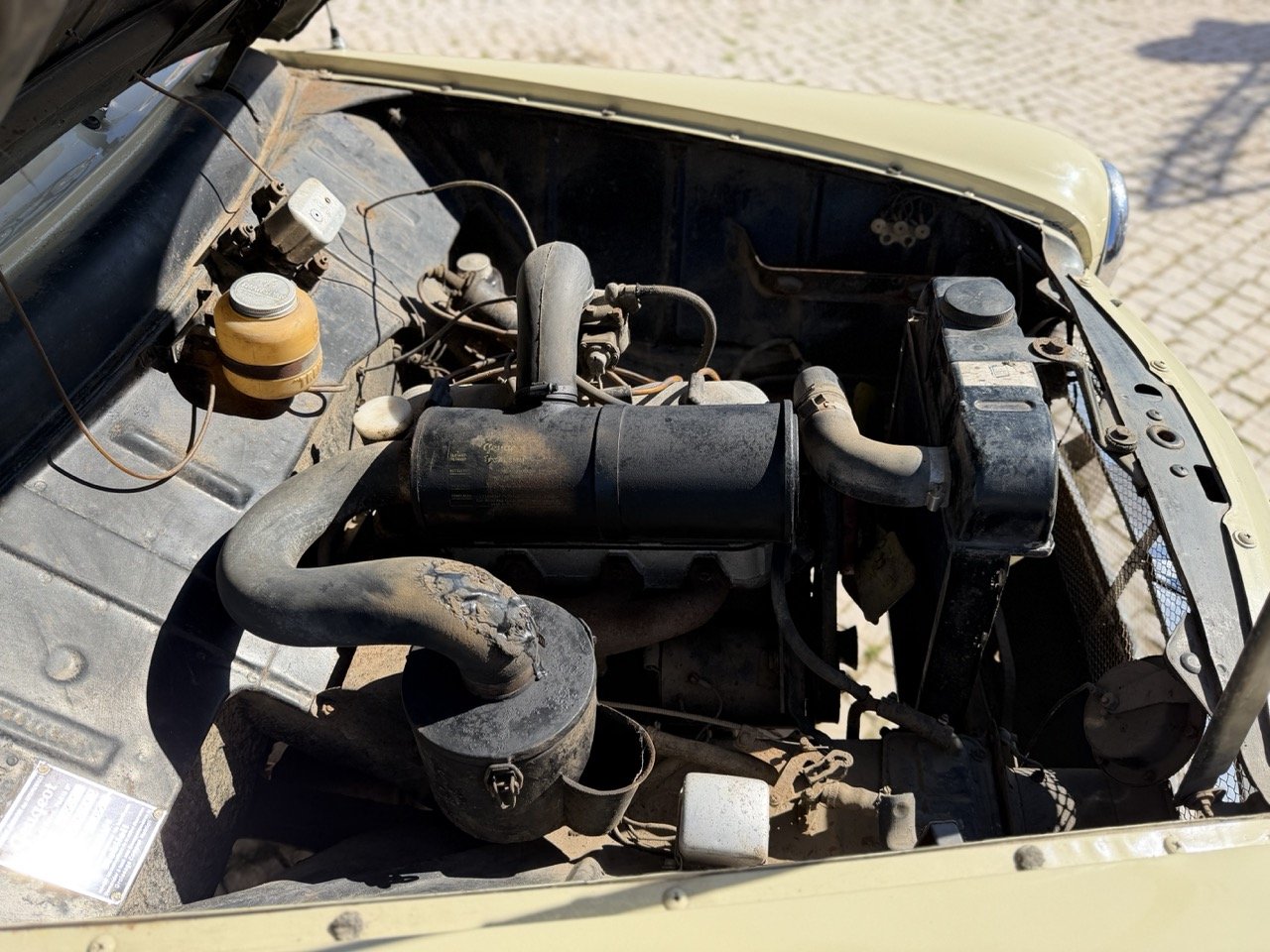 IMG_6665 – grande.jpeg