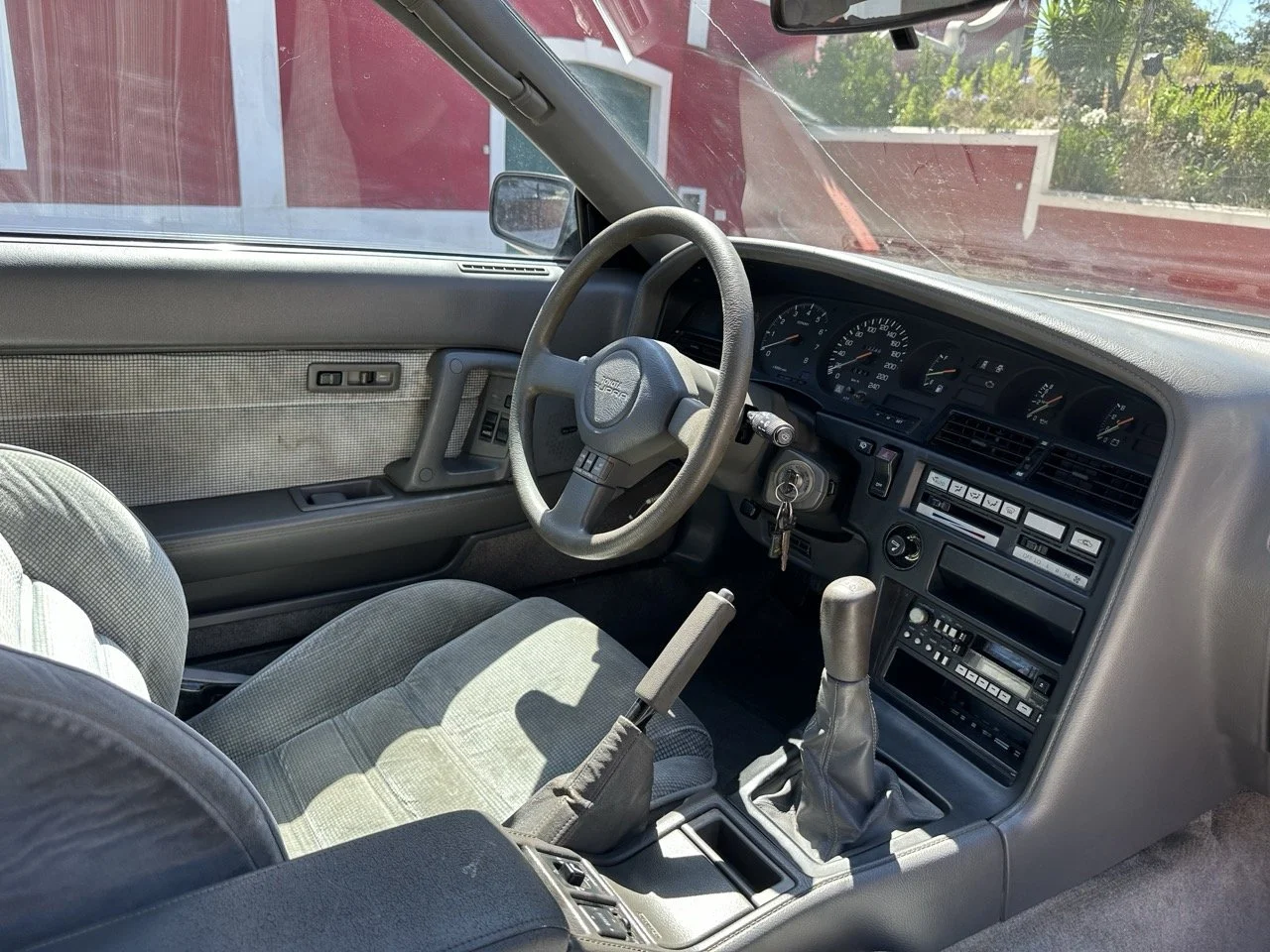 IMG_3053 – grande.jpeg