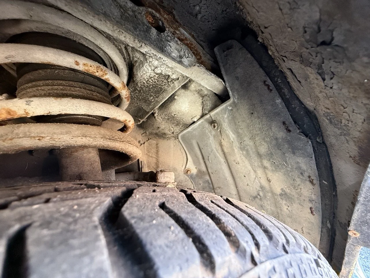 IMG_2964 – grande.jpeg