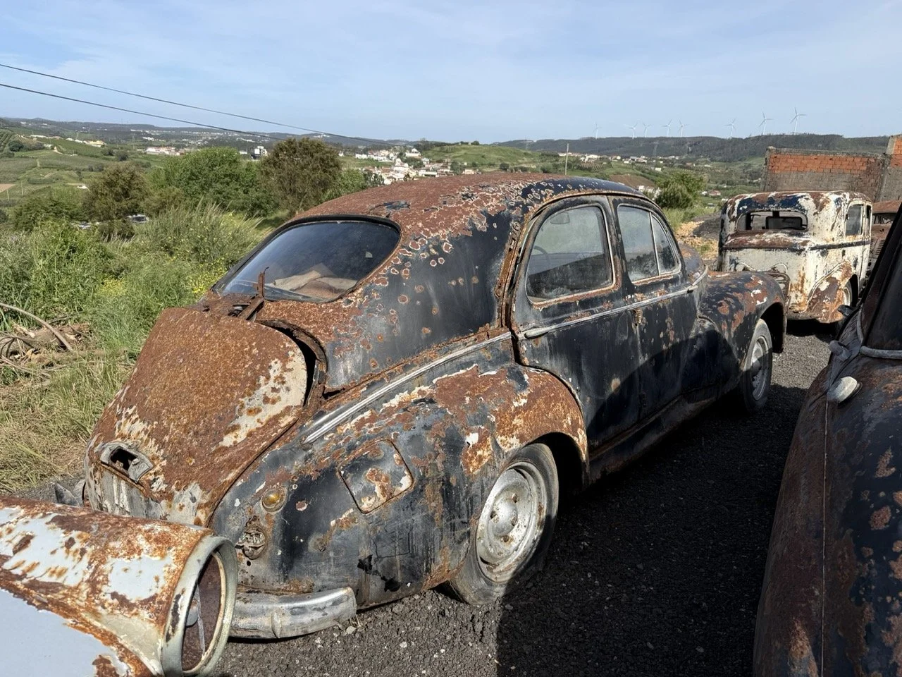 IMG_0393 – grande.jpeg