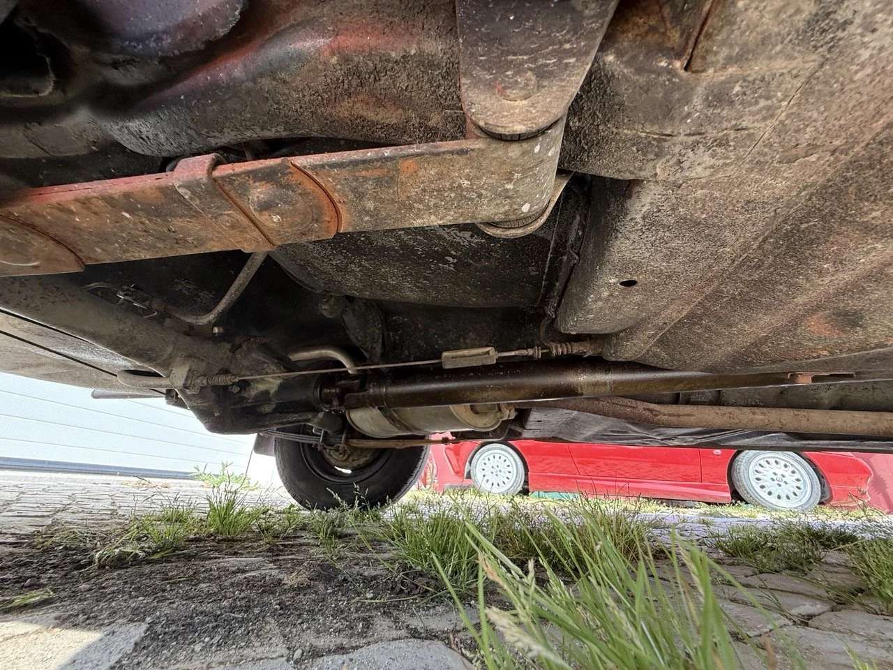 IMG_3667 – grande.jpeg